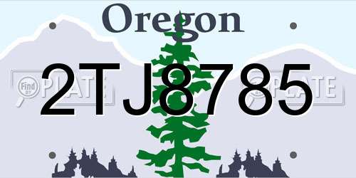 2TJ8785 Oregon License Plate