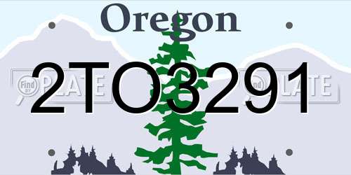 2TO3291 Oregon License Plate