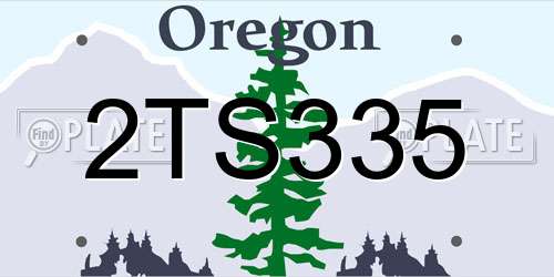 2TS335 Oregon License Plate