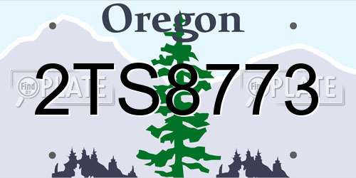 2TS8773 Oregon License Plate