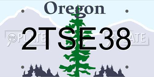 2TSE38 Oregon License Plate
