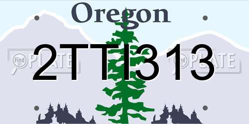 2TTI313 Oregon License Plate