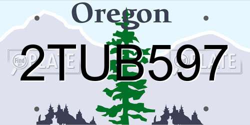 2TUB597 Oregon License Plate