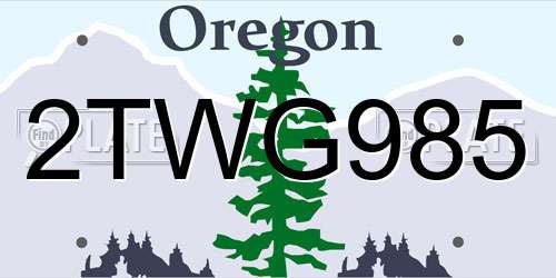2TWG985 Oregon License Plate