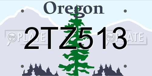 2TZ513 Oregon License Plate