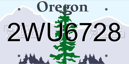 2WU6728 Oregon License Plate