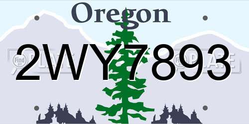 2WY7893 Oregon License Plate