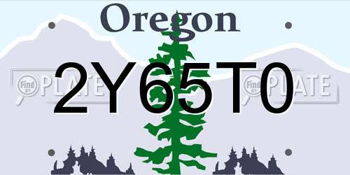 2Y65T0 Oregon License Plate