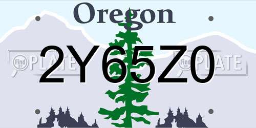 2Y65Z0 Oregon License Plate