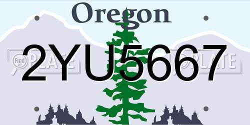 2YU5667 Oregon License Plate