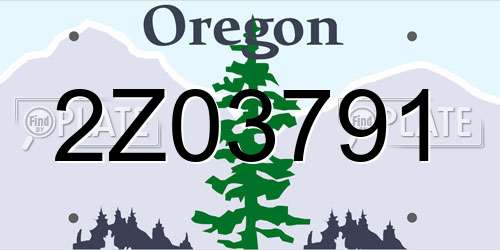2Z03791 Oregon License Plate