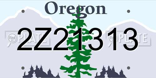 2Z21313 Oregon License Plate