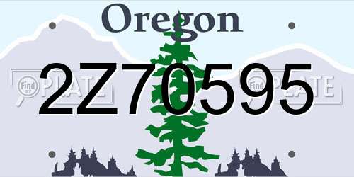 2Z70595 Oregon License Plate