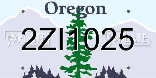 2ZI1025 Oregon License Plate