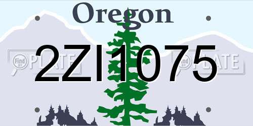 2ZI1075 Oregon License Plate