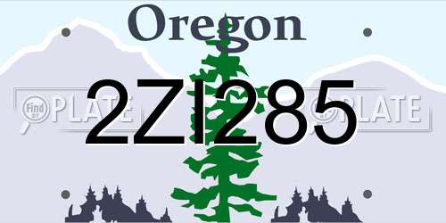 2ZI285 Oregon License Plate