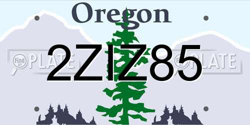 2ZIZ85 Oregon License Plate