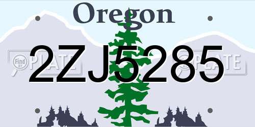 2ZJ5285 Oregon License Plate