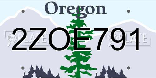 2ZOE791 Oregon License Plate