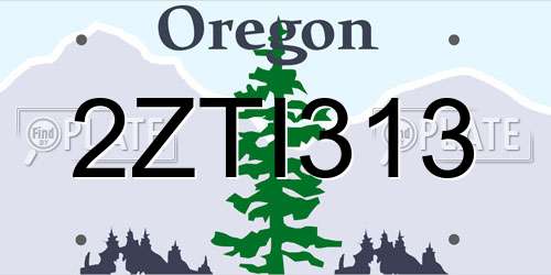 2ZTI313 Oregon License Plate