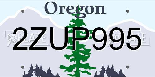2ZUP995 Oregon License Plate