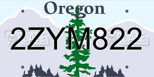 2ZYM822 Oregon License Plate