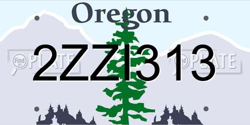 2ZZI313 Oregon License Plate