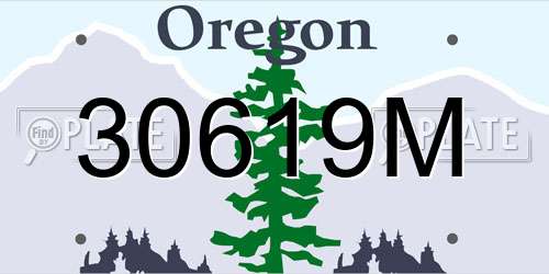 30619M Oregon License Plate
