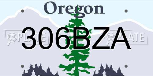306BZA Oregon License Plate