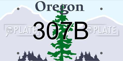307B Oregon License Plate