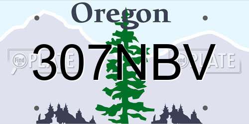307NBV Oregon License Plate