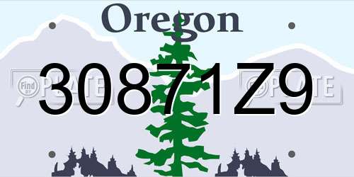 30871Z9 Oregon License Plate