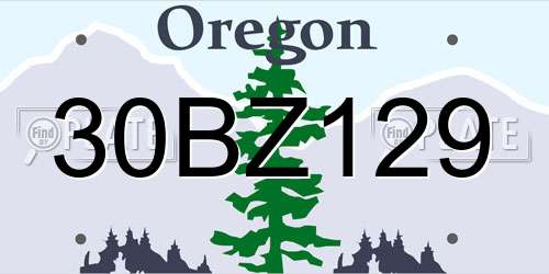 30BZ129 Oregon License Plate