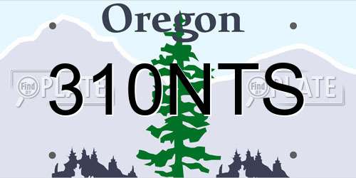 310NTS Oregon License Plate