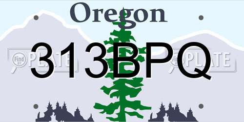 313BPQ Oregon License Plate