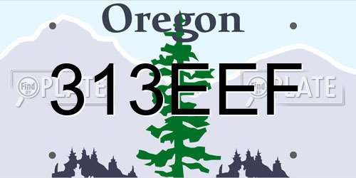 313EEF Oregon License Plate