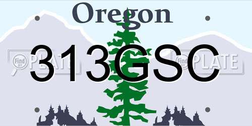 313GSC Oregon License Plate