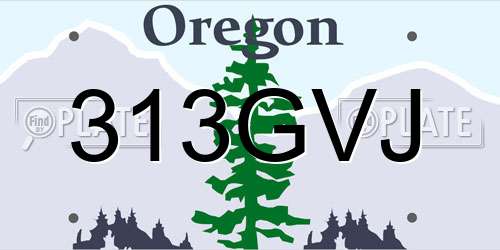 313GVJ Oregon License Plate
