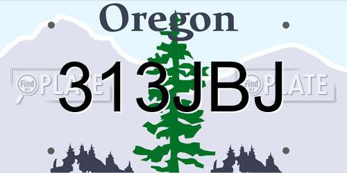313JBJ Oregon License Plate