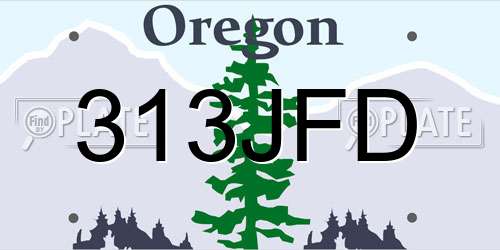 313JFD Oregon License Plate
