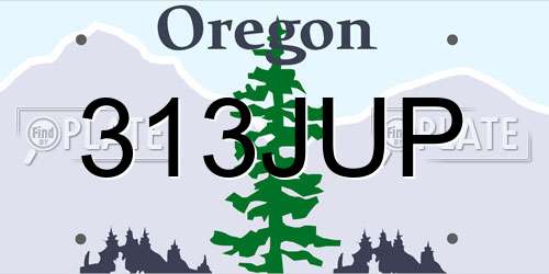 313JUP Oregon License Plate