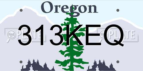 313KEQ Oregon License Plate