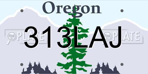 313LAJ Oregon License Plate
