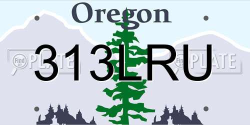 313LRU Oregon License Plate
