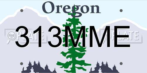 313MME Oregon License Plate