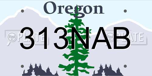 313NAB Oregon License Plate
