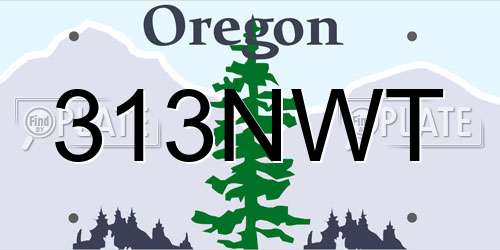 313NWT Oregon License Plate