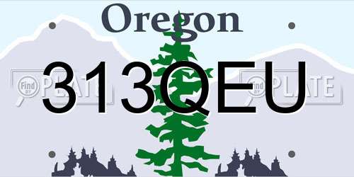 313QEU Oregon License Plate