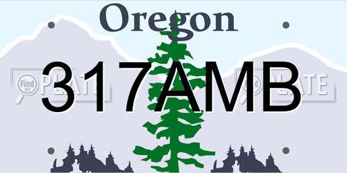 317AMB Oregon License Plate