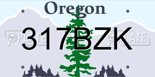 317BZK Oregon License Plate